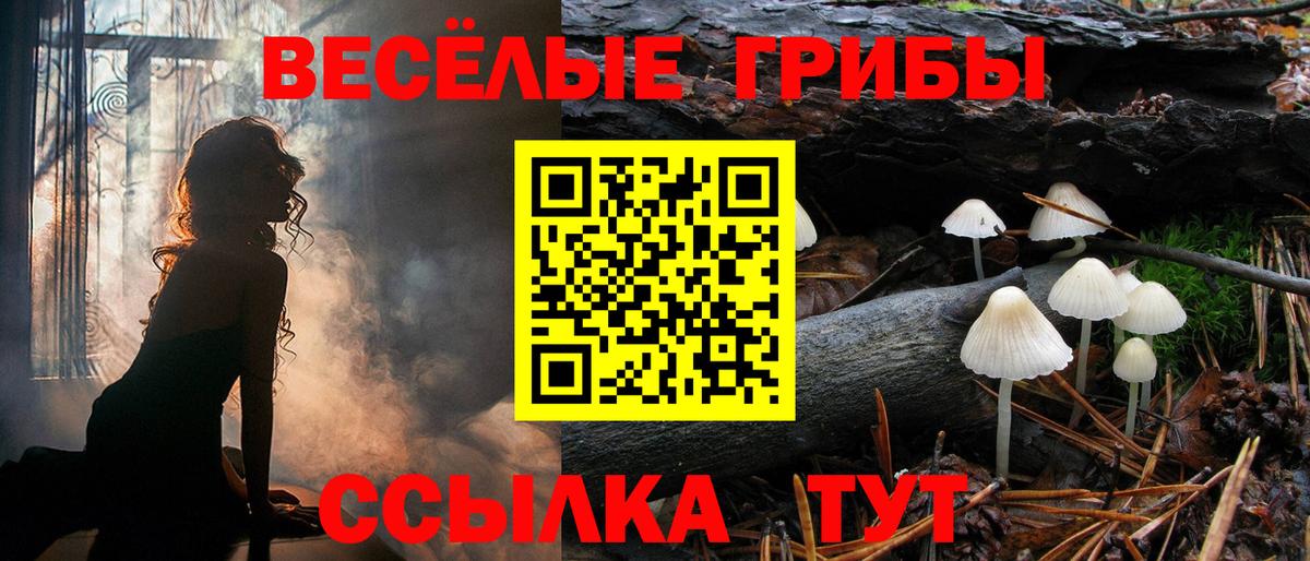 Галлюциногенные грибы Psilocybe  Вход с VPN  Дзержинск 